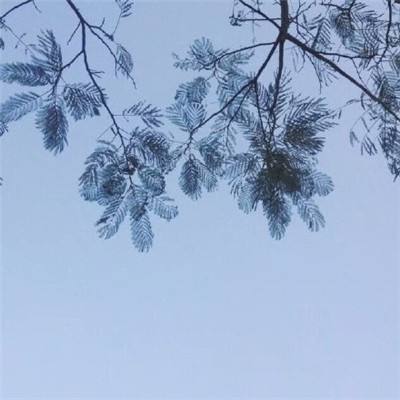 灭世忘仙下载
