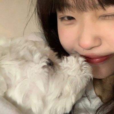 黑猫警长联盟正式版下载